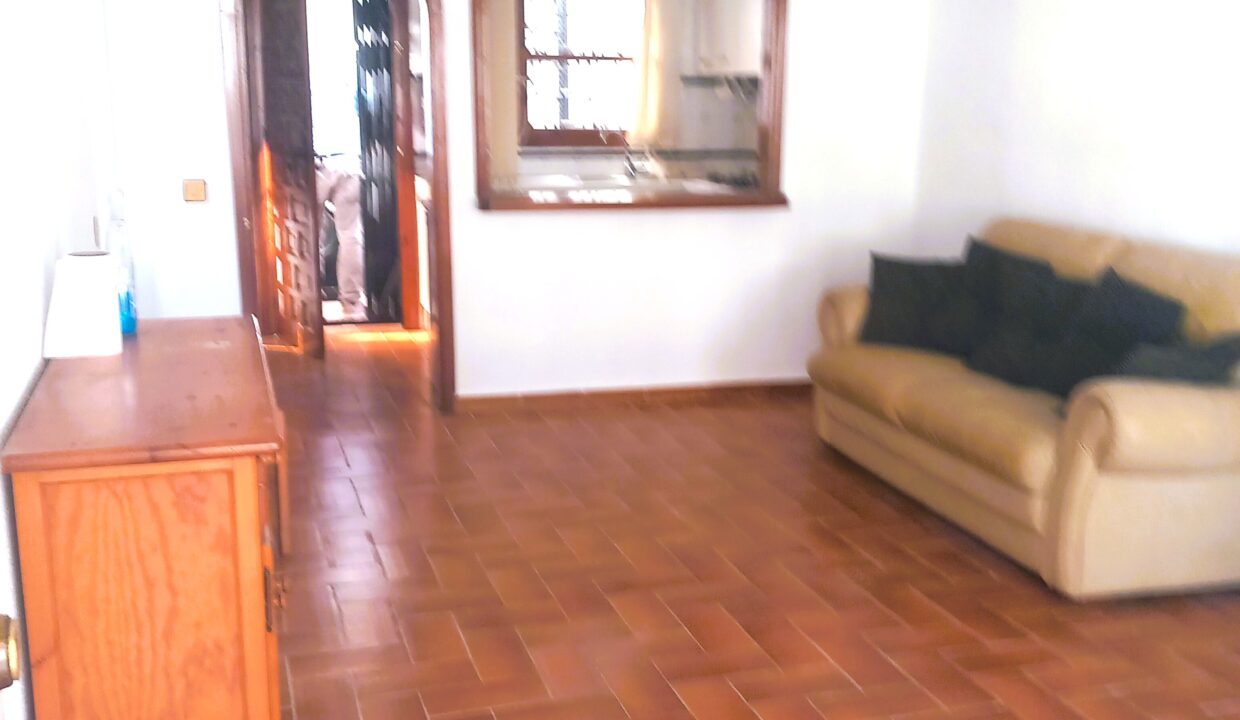 mejorado 3