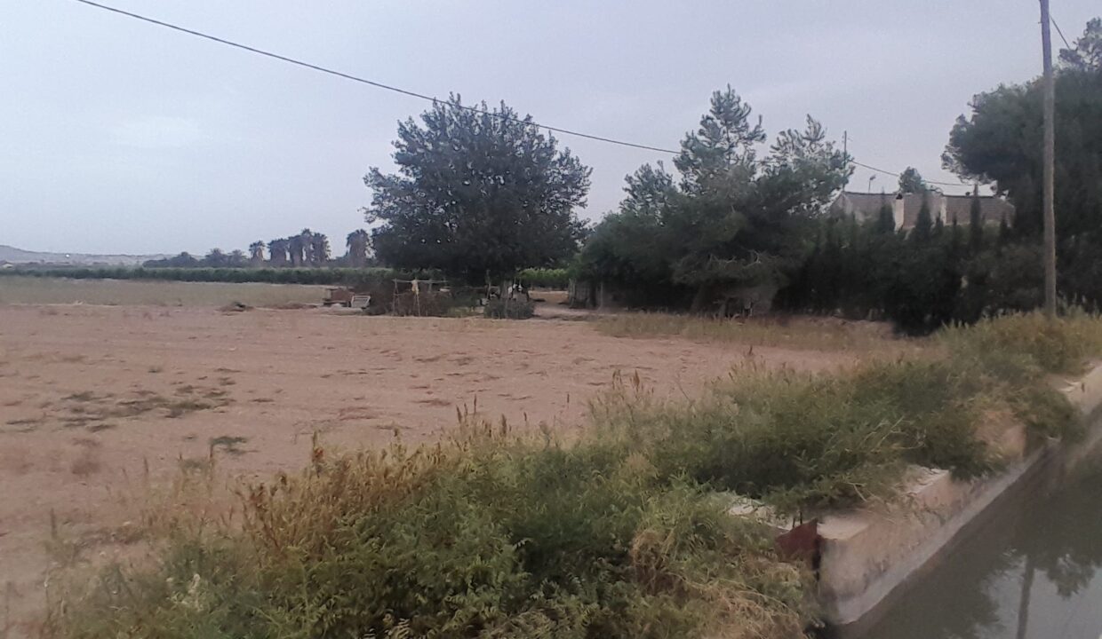 IMG-20250910-WA0012
