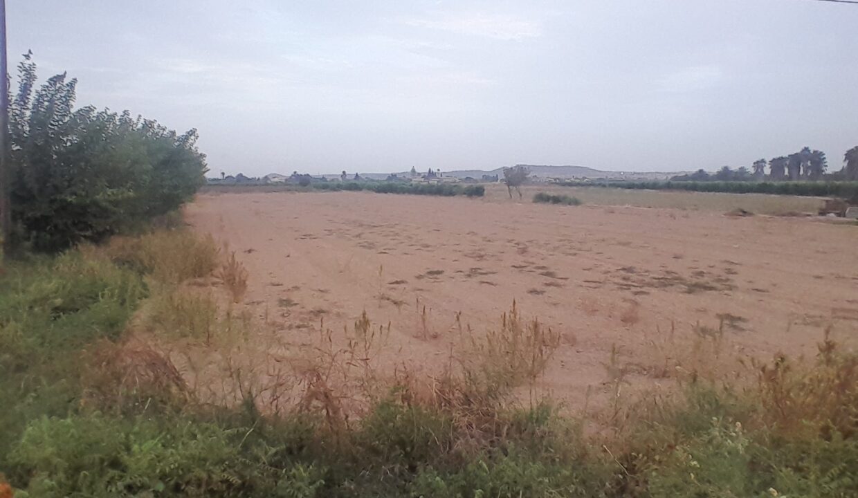 IMG-20250910-WA0013