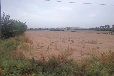 IMG-20250910-WA0013