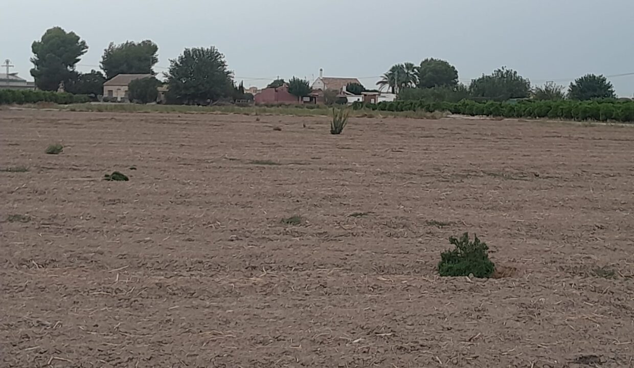 IMG-20250910-WA0016