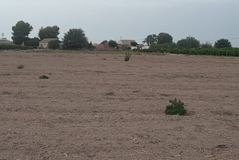 IMG-20250910-WA0016