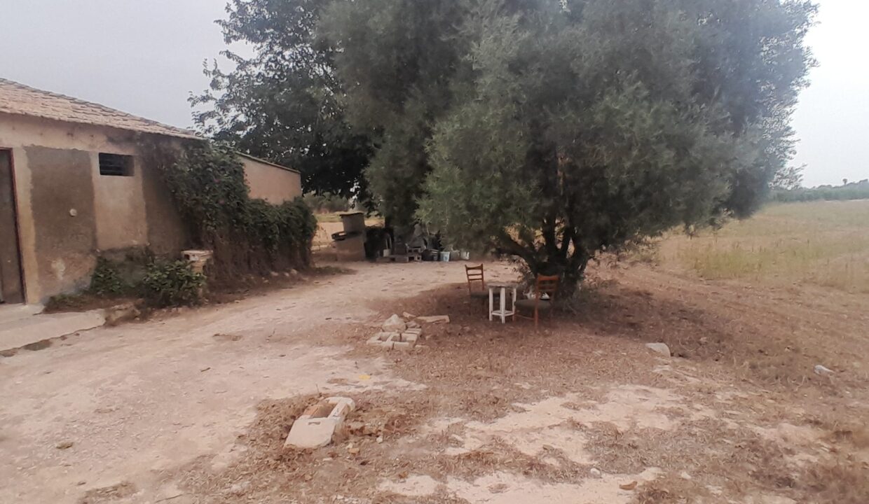 IMG-20250910-WA0020
