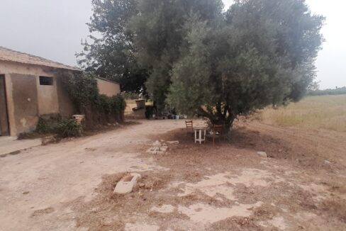 IMG-20250910-WA0020
