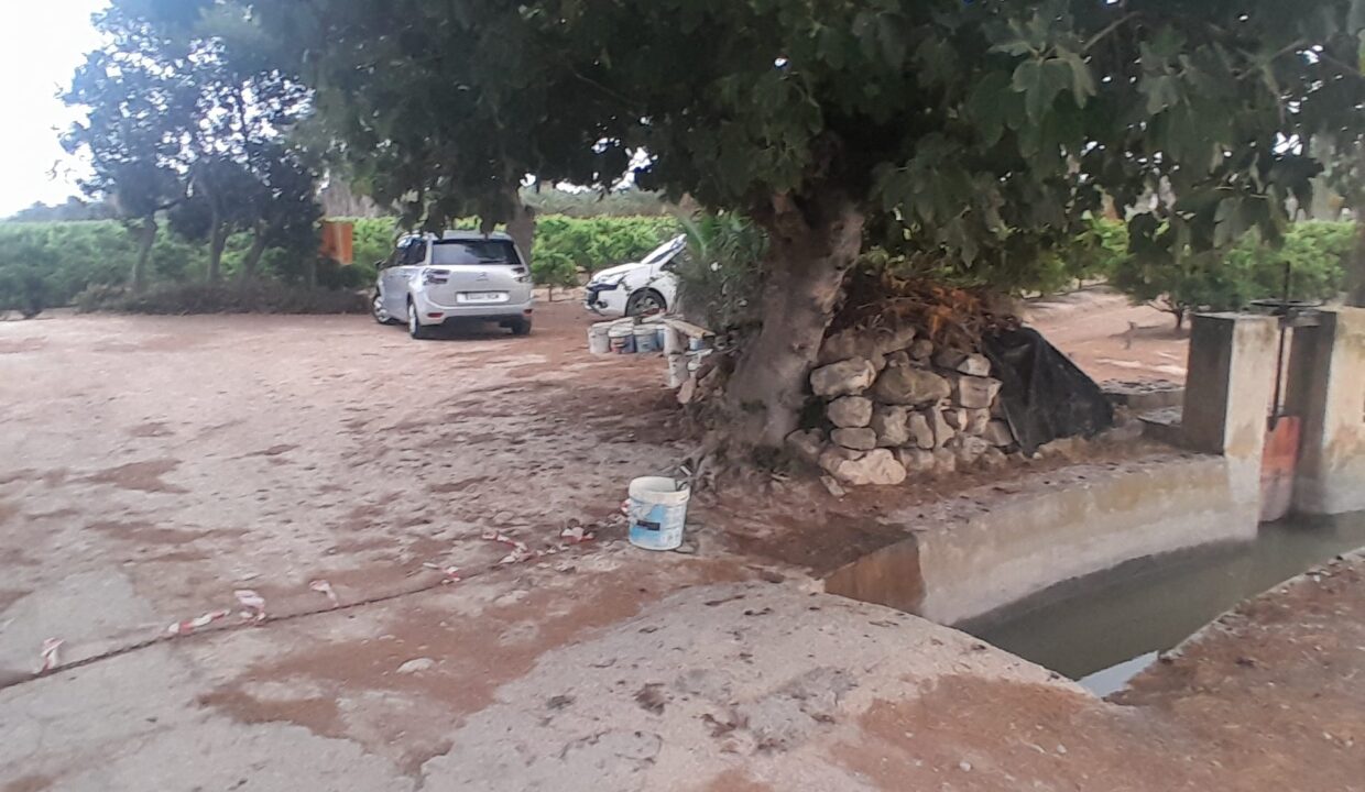 IMG-20250910-WA0026