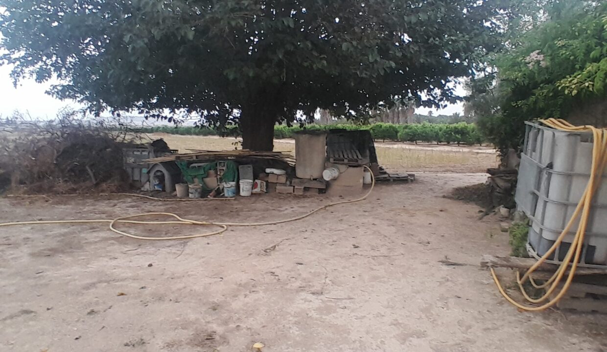 IMG-20250910-WA0031