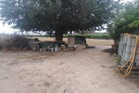 IMG-20250910-WA0031