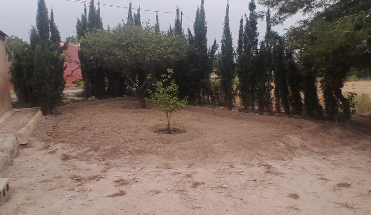IMG-20250910-WA0034