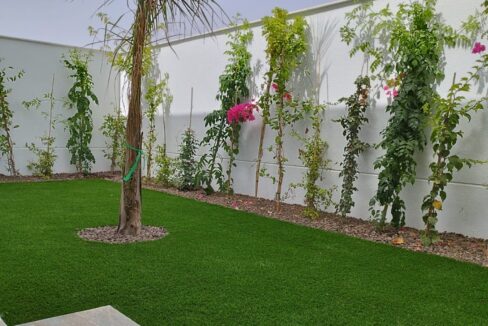 PHOTO-2023-08-10-18-26-06 (2)