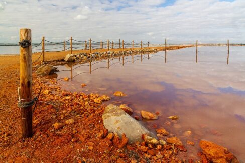Torrevieja_salt_works_at_Laguna_Salada_de_Torrevieja,_Alicante,_Valencia,_Spain,_2019_December_-_2