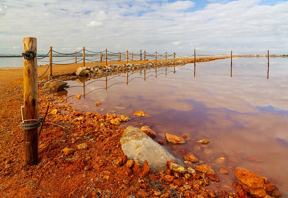 Torrevieja_salt_works_at_Laguna_Salada_de_Torrevieja,_Alicante,_Valencia,_Spain,_2019_December_-_2