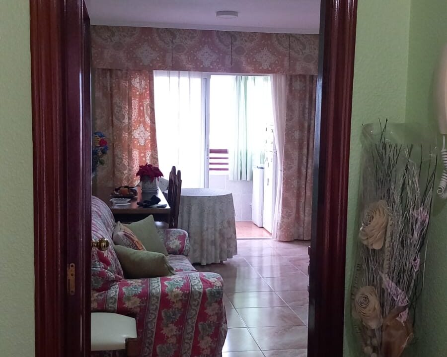 WhatsApp Image 2026-10-20 at 09.40.56 - copia